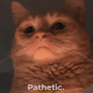 Meet your Posher, Yilapla